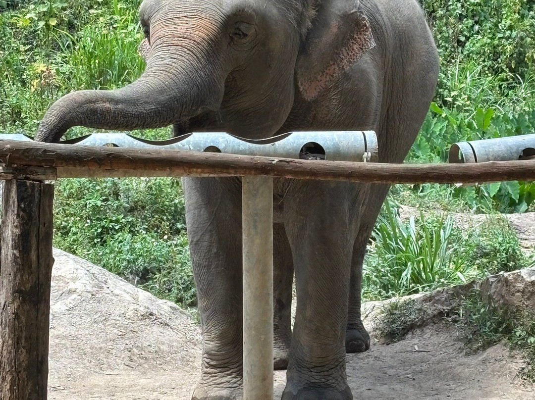 Chang Chill-Mae Win必去景点