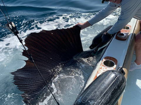 Tenorio Adventure Company-瓜纳卡斯特省必去景点