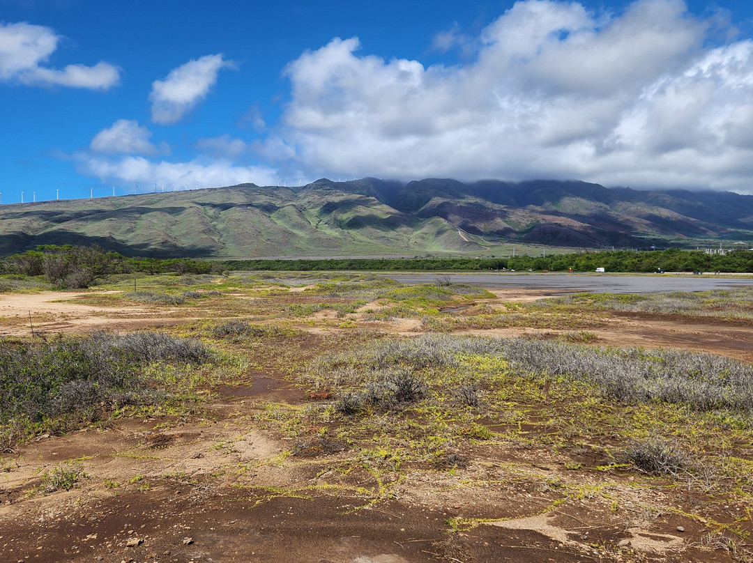 Kealia Pond National Wildlife Refuge-基黑必去景点
