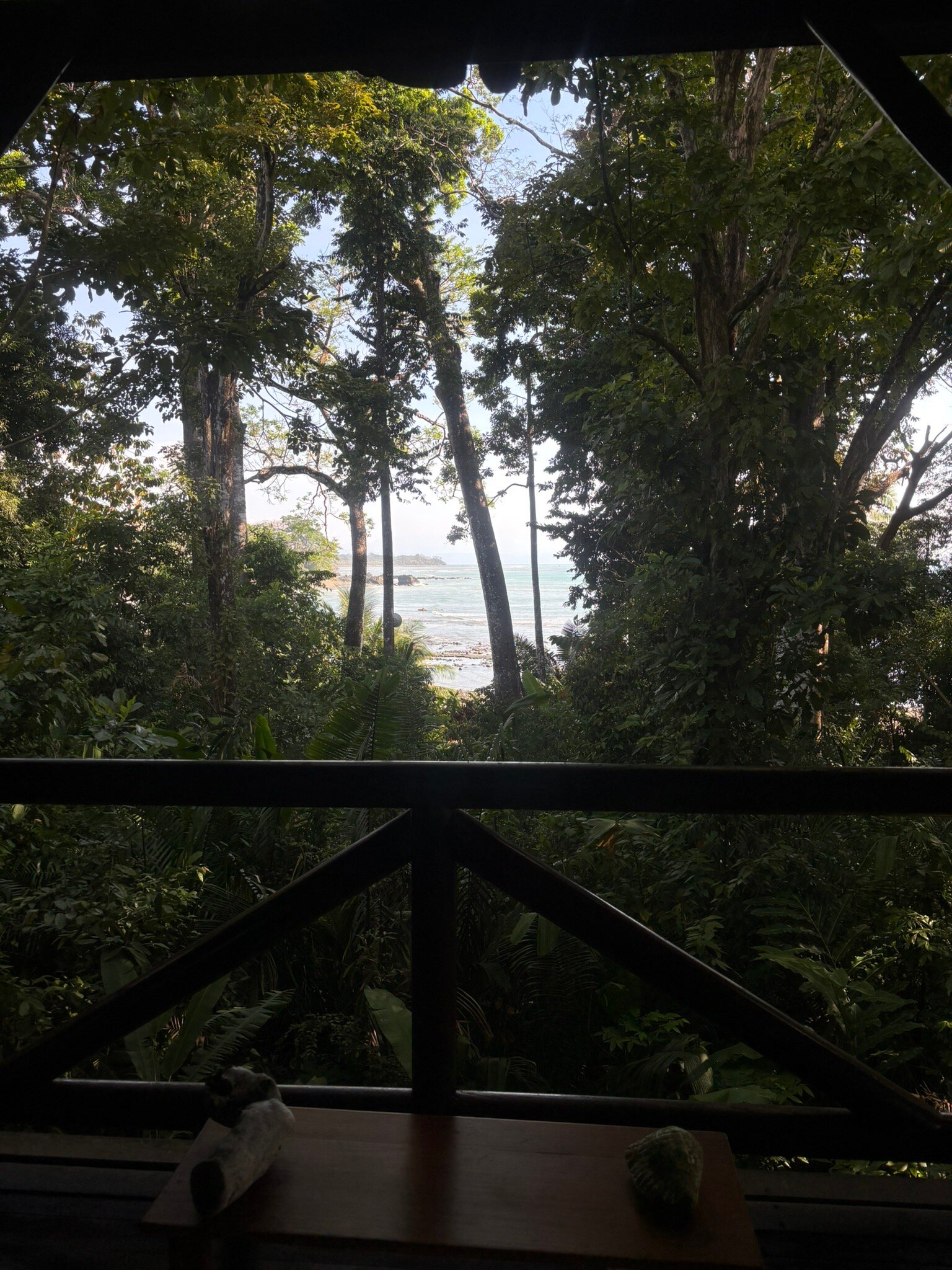 Encanta la Vida-官方