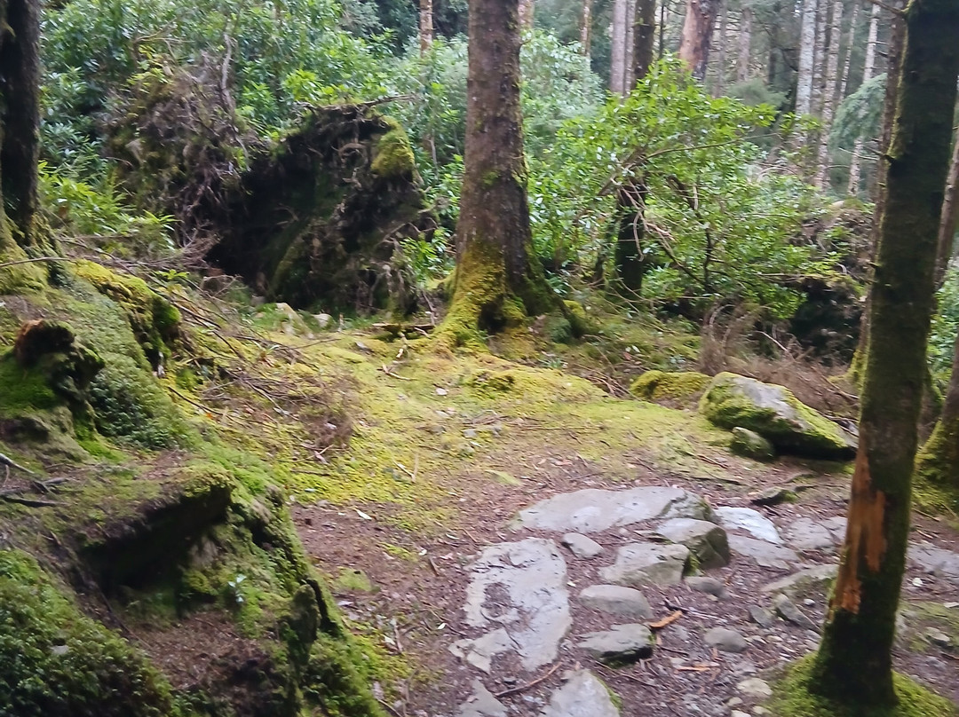 Torc Mountain Walk-基拉尼必去景点