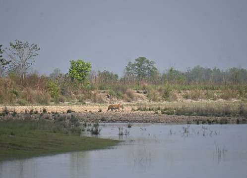 Wild Trails Nepal-Thakurdwara必去景点