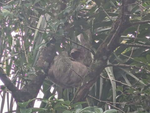 ILT Costa Rica-圣何塞必去景点