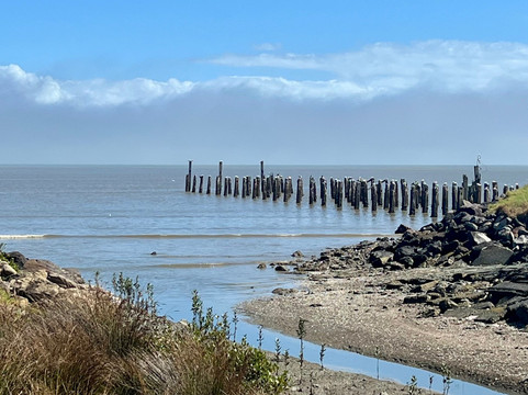 Thames Coastal Walkway-Thames必去景点