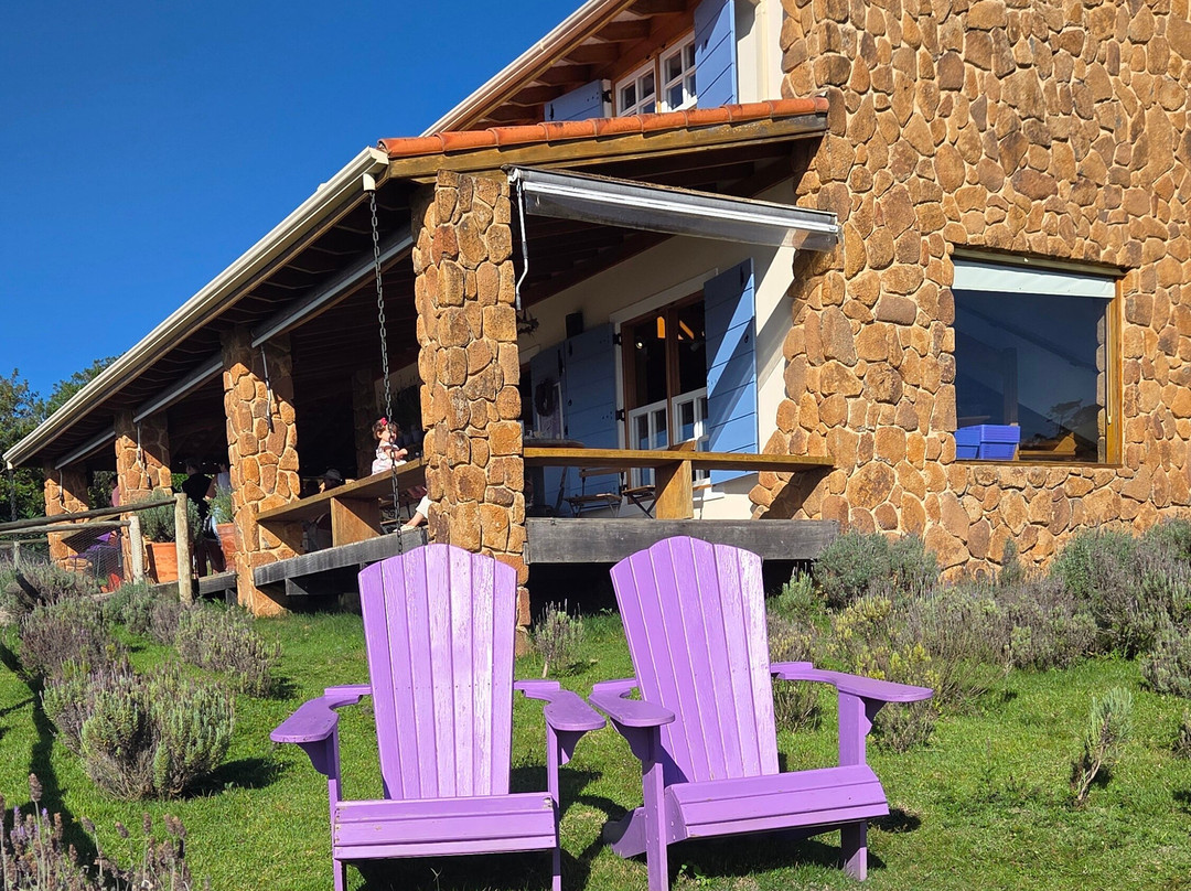 Lavandario-Cunha必去景点