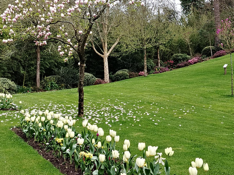 Parc des Dryades-拉博尔埃斯库布拉克必去景点