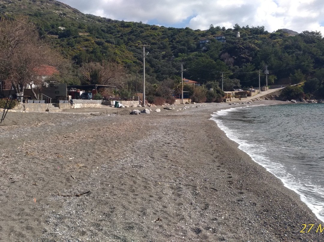 Hayıtbuku Koyu-Mesudiye必去景点