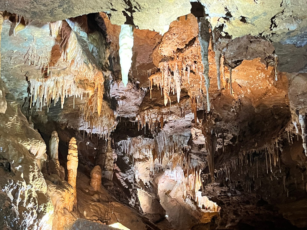 Cosmic Cavern-Berryville必去景点