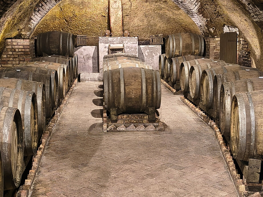 Cantine del Notaio-Rionero in Vulture必去景点