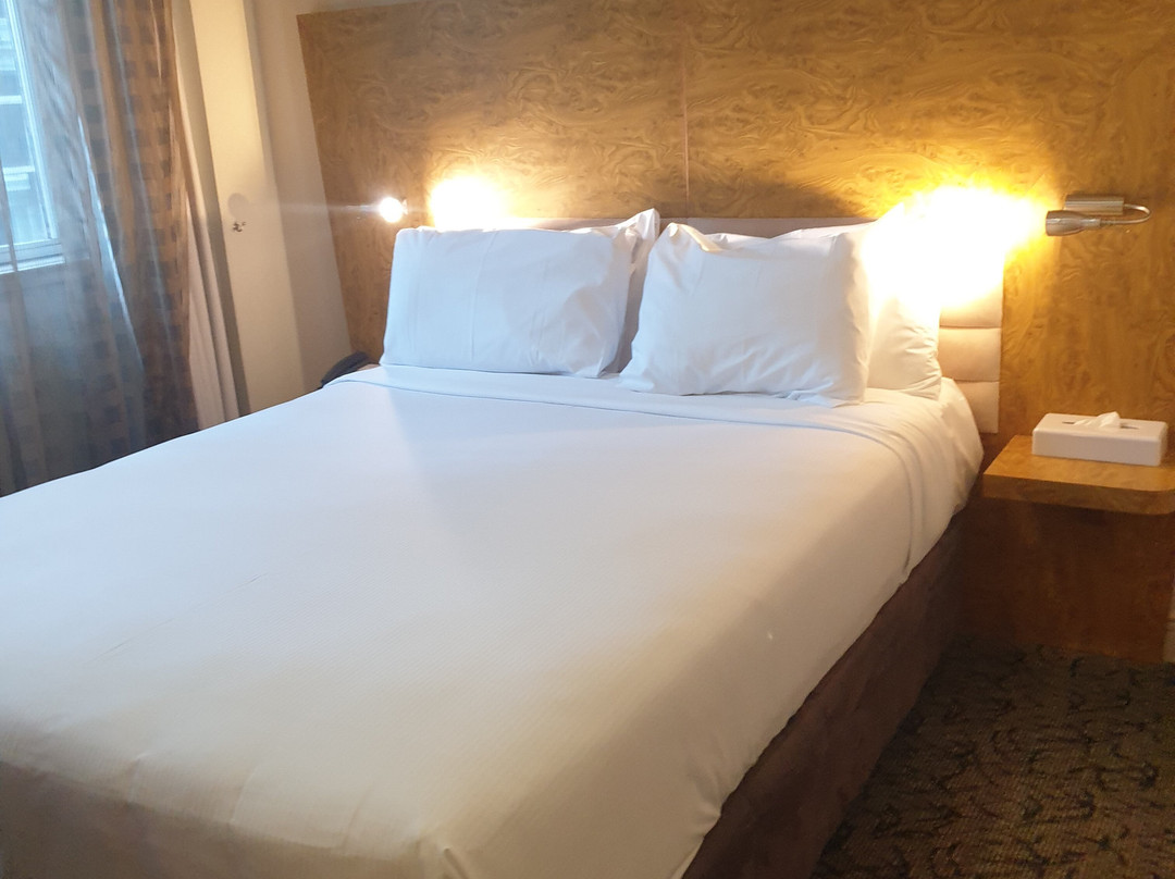 惠灵顿阿迪那城市生活酒店主图