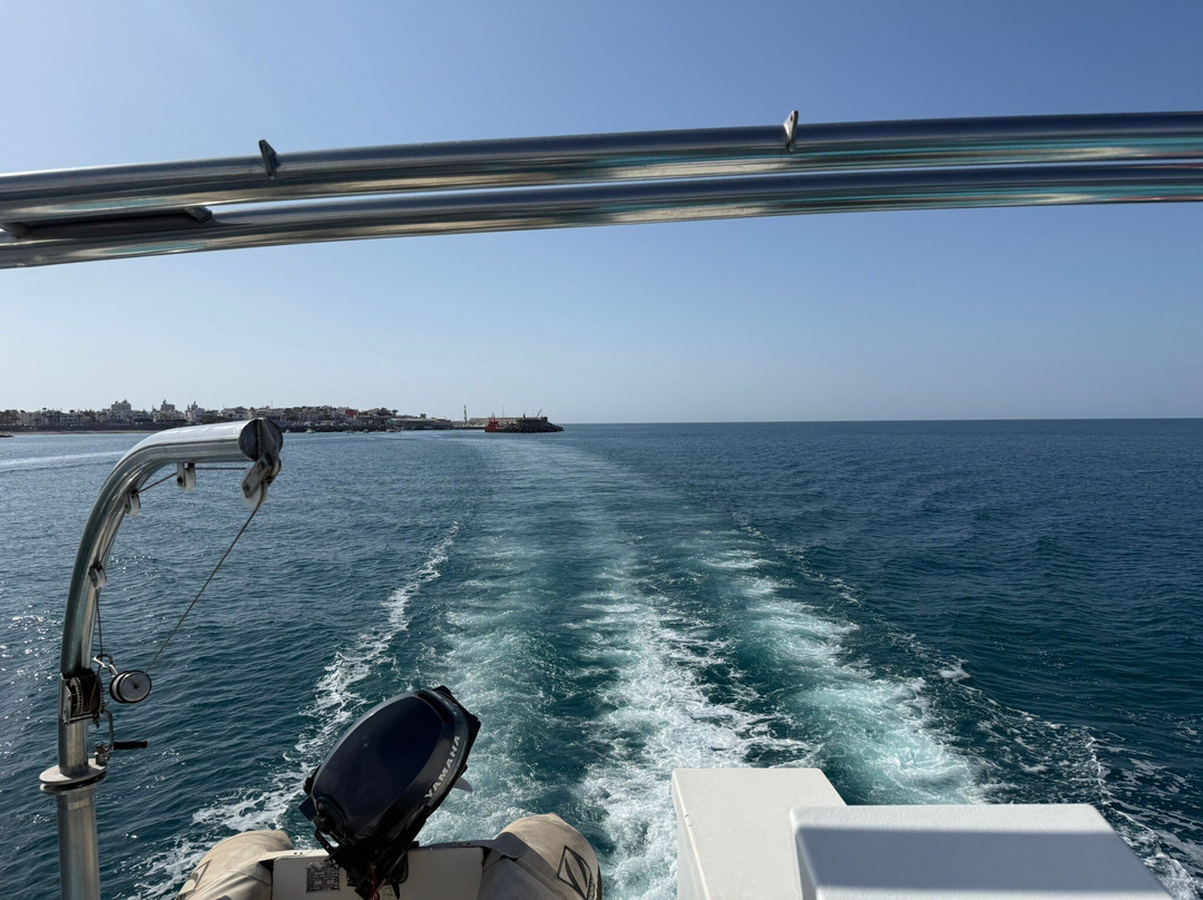 Lineas Blue Bird-莫干山必去景点