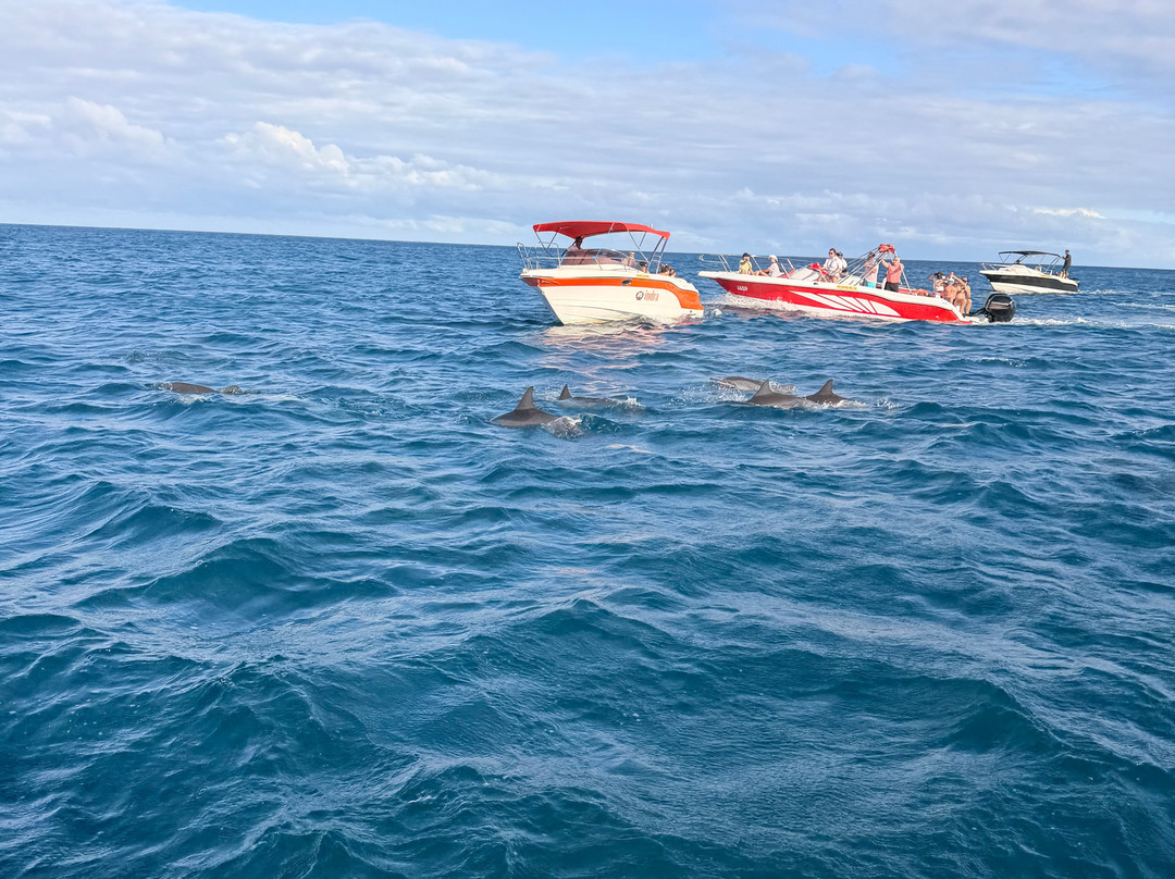 Dauphine Tours Mauritius-大湾必去景点