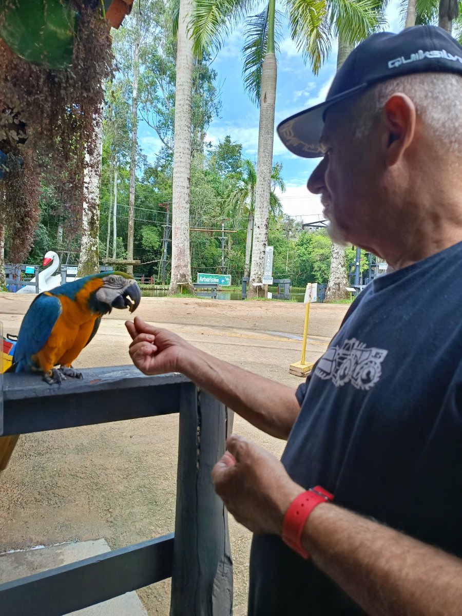 Hotel Fazenda Campo Dos Sonhos-家庭/游戏区