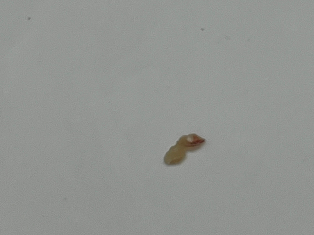 罗杰斯温德姆美吟温德姆酒店主图