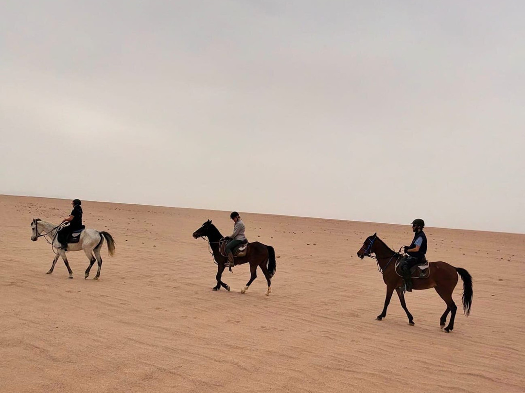 Equestrian Dream Egypt-赫尔格达必去景点