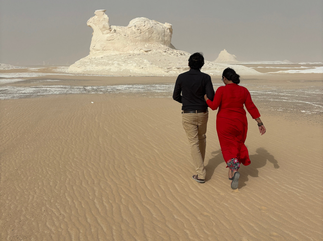Desert Egypt Safari-开罗必去景点