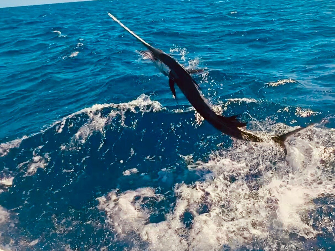 Caribsea Sport Fishing Charters-伊斯拉摩拉达必去景点