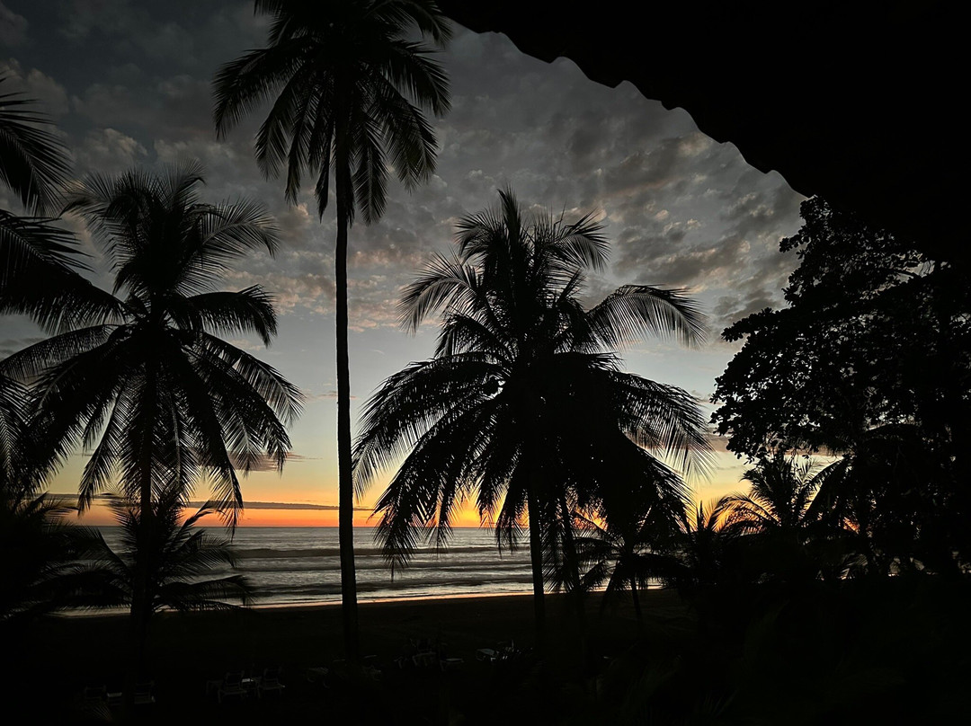 德芬贝胡科海滩酒店主图