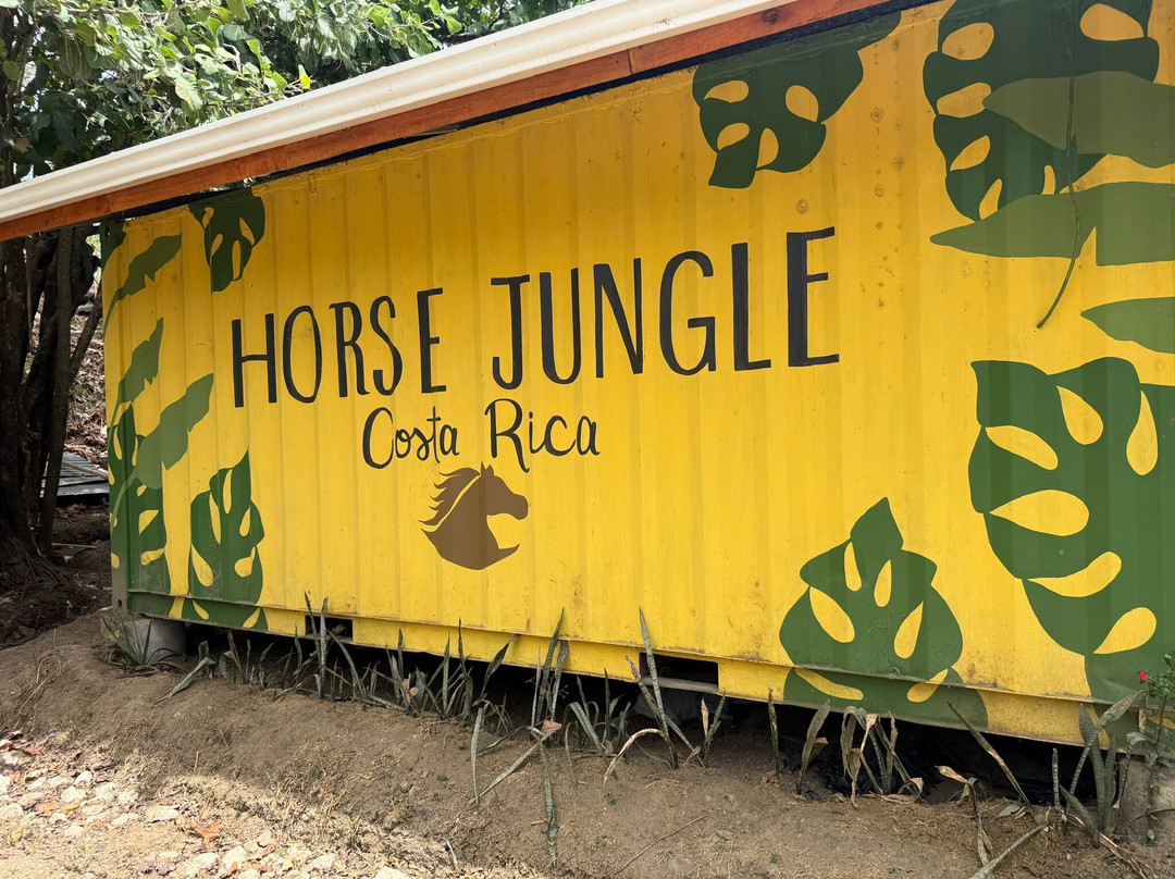 Horse Jungle-萨玛拉滩必去景点