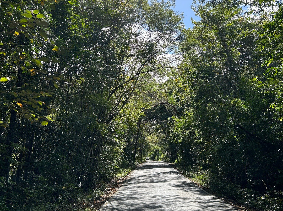 Reserva de la Biosfera de Calakmul-卡拉克穆尔必去景点