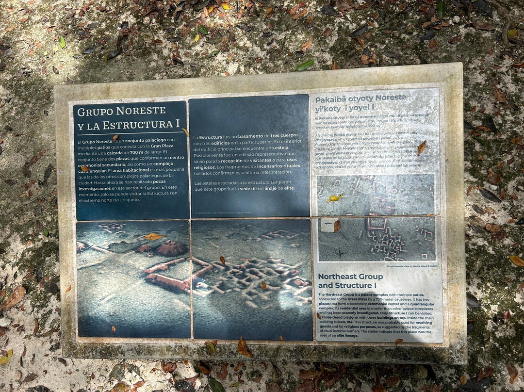 Reserva de la Biosfera de Calakmul-卡拉克穆尔必去景点