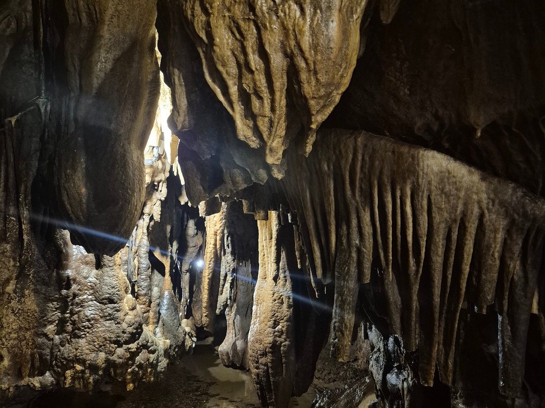 Grottes de Bétharram-Saint-Pe-de-Bigorre必去景点