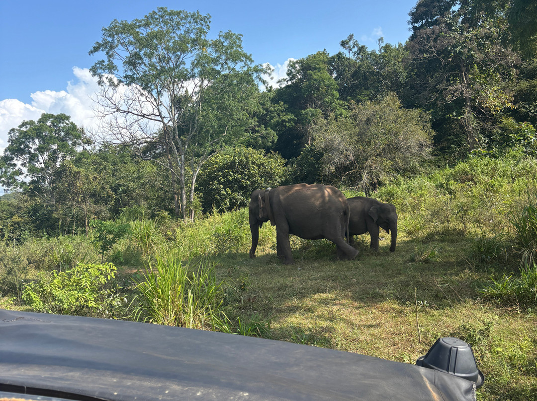 Indunil tours Sri Lanka-Deniyaya必去景点