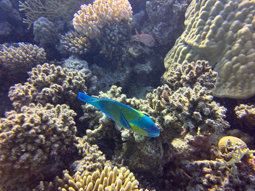 Egypt International-赫尔格达必去景点