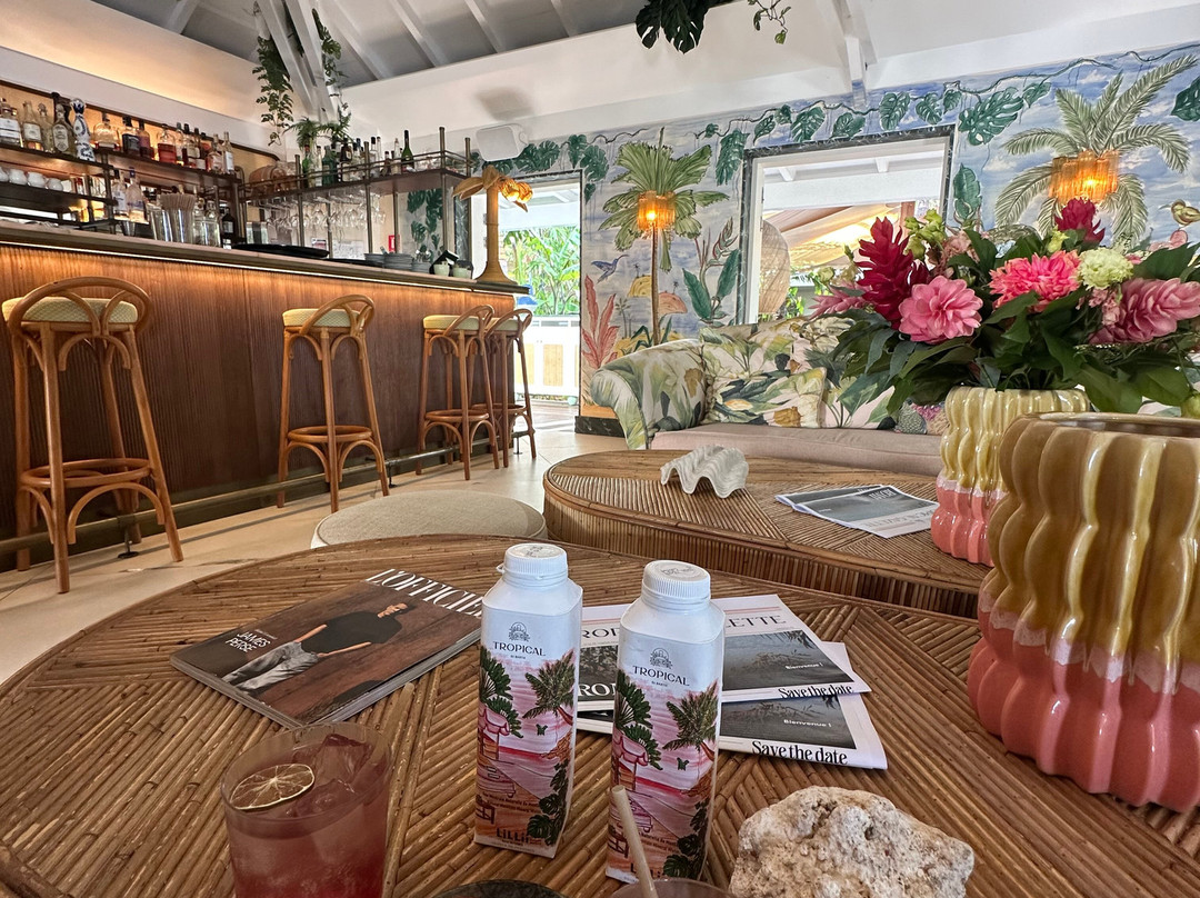 圣巴尔特热带酒店主图