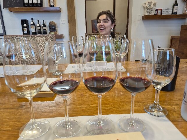 Bodega y Cavas de Weinert-路冉得库约必去景点