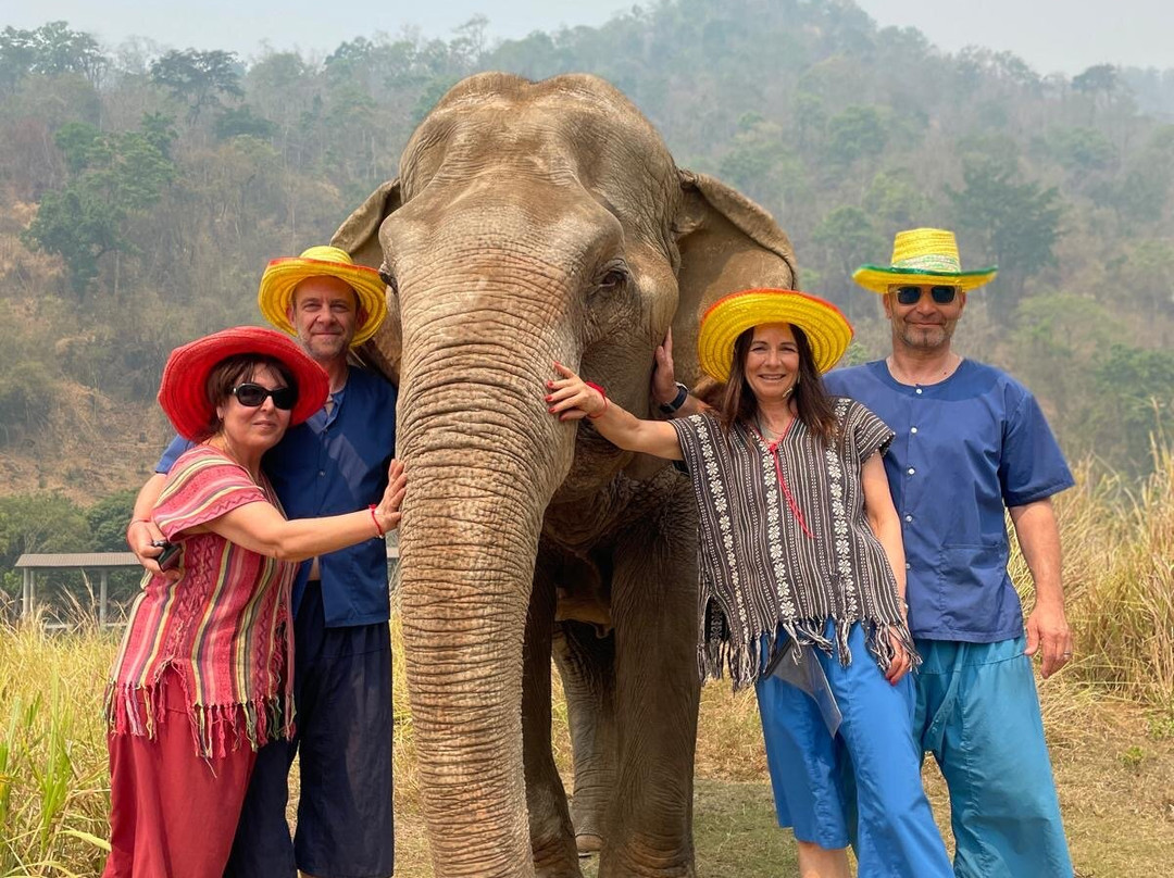 Doi Lom Elephant Rescue Sanctuary-夜登必去景点
