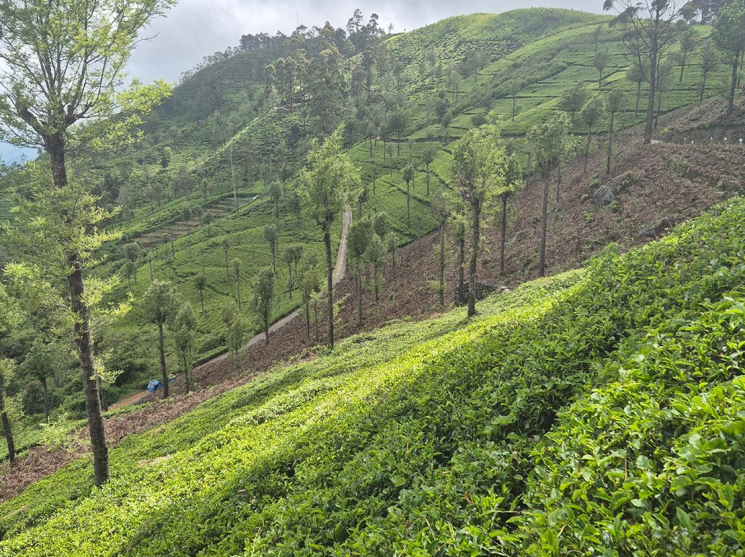 Best of Lanka-科伦坡必去景点