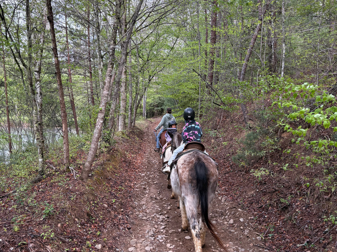 Appalachian Trail Rides-Mineral Bluff必去景点