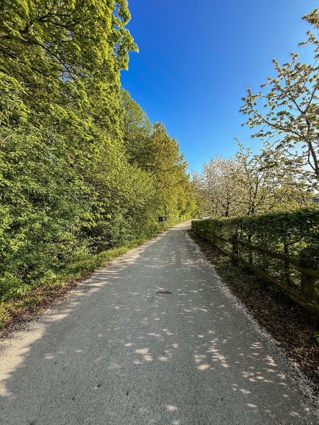 Pule Estate-旅行者