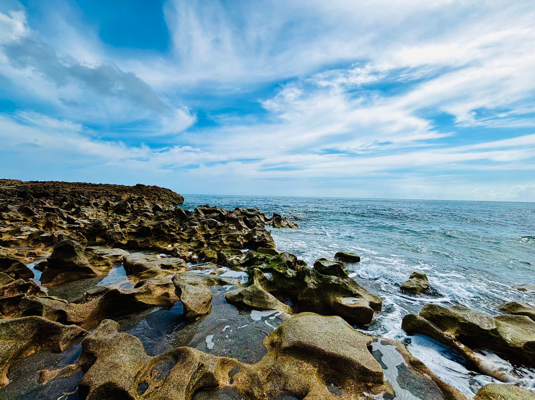 Blowing Rocks Nature Preserve-朱庇特必去景点