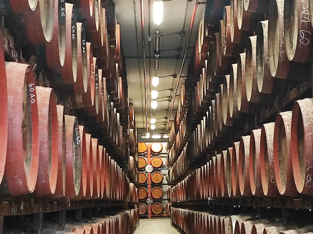 Arehucas Rum Distillery-Arucas必去景点