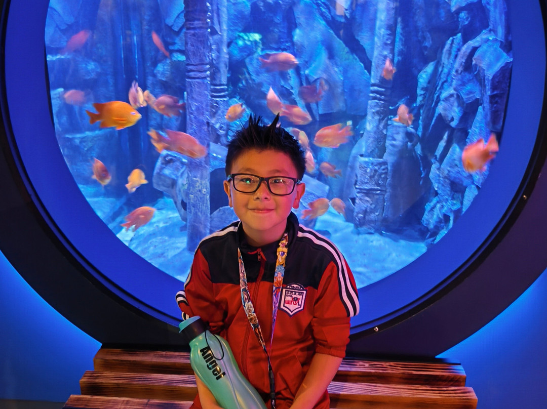 Acuario Michin Ciudad De Mexico-墨西哥城必去景点