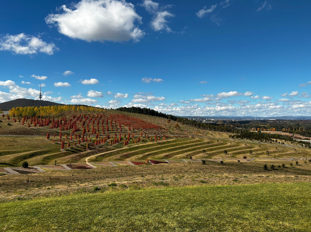 National Arboretum Canberra-Molonglo Valley必去景点