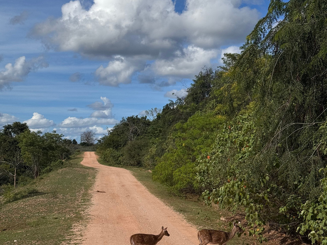 Didulanka yala safari-Thanamalwila必去景点