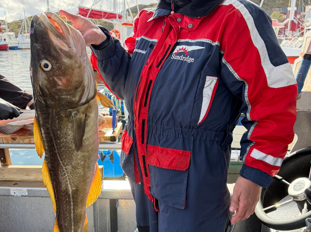 Arctic Spearfishing & guided fishing-Ballstad必去景点