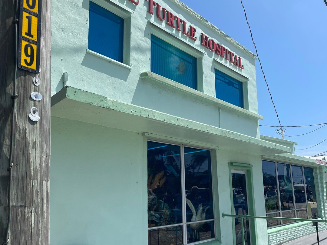 The Turtle Hospital-马拉松必去景点