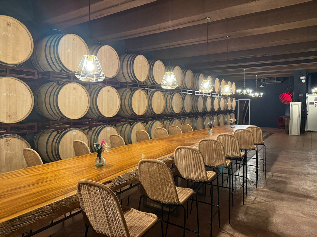 Bodegas Enrique Mendoza-L'Alfas del Pi必去景点