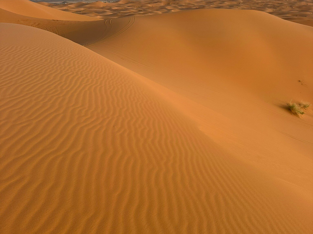 Morocco Hire Car & Private Driver-Marrakech-Safi必去景点