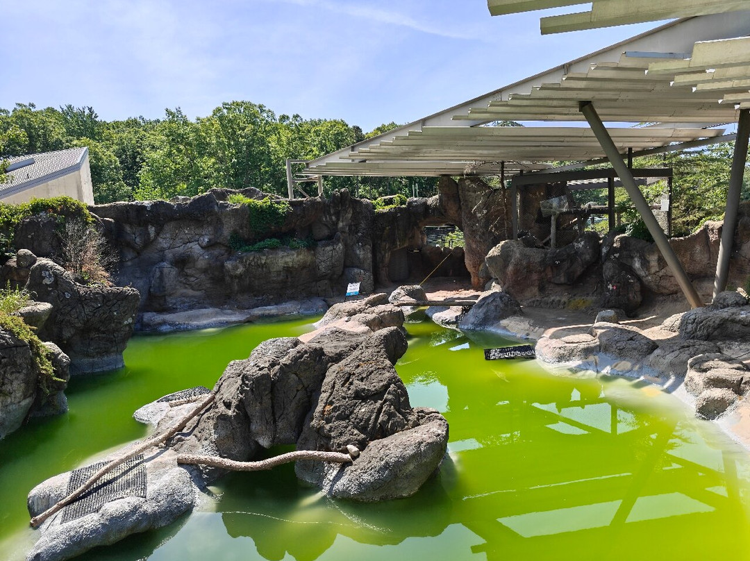 North Carolina Zoo-Asheboro必去景点