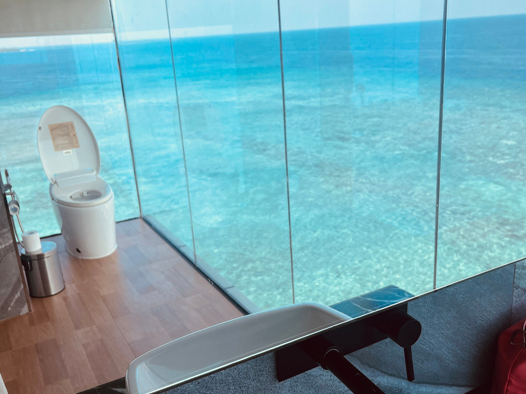 Swarn By Hawks Hotels, Kamadhoo Maldives主图
