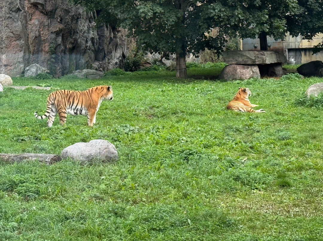 Kolmården Zoo-Kolmarden必去景点