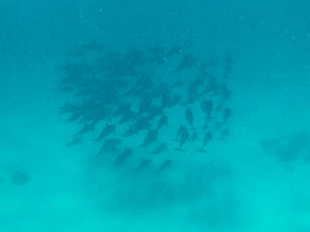 Marsa Alam Tours-马萨阿拉姆必去景点
