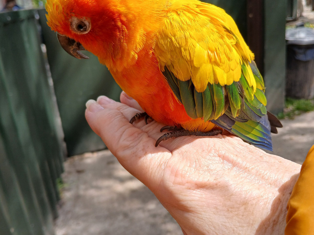 Tropical Birdland-Desford必去景点