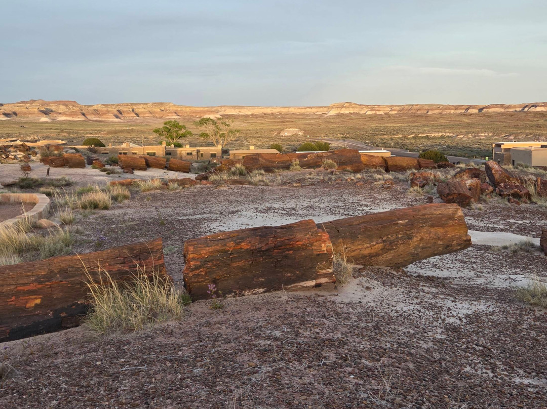 Petrified Forest National Park-霍尔布鲁克必去景点