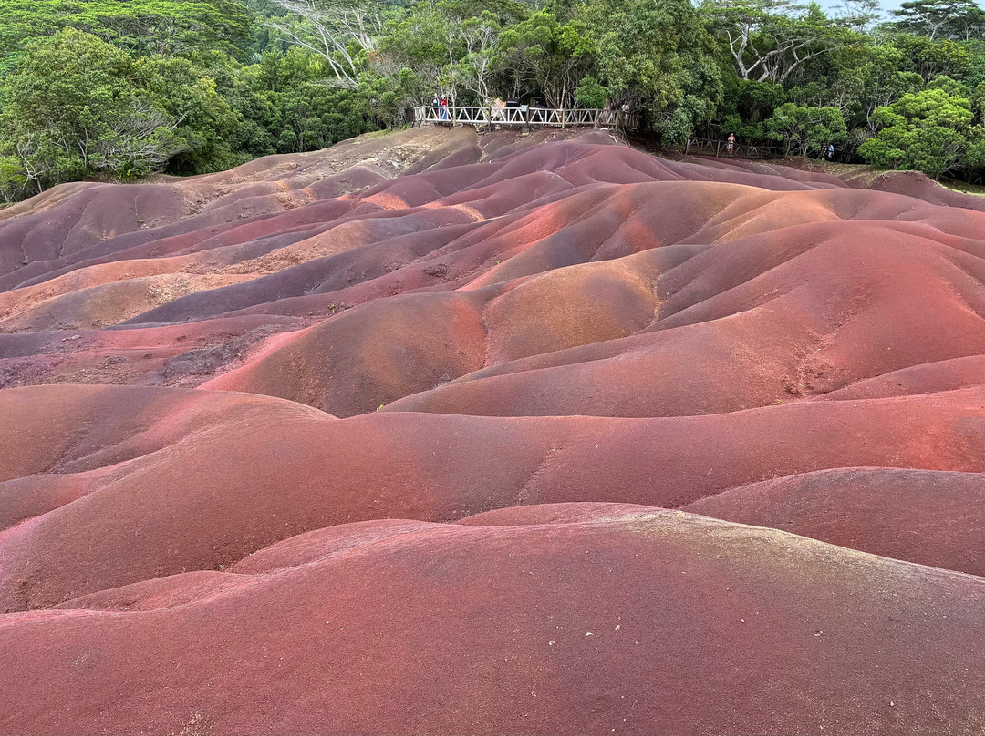 Paradisio Excursions Ile Maurice-大湾必去景点